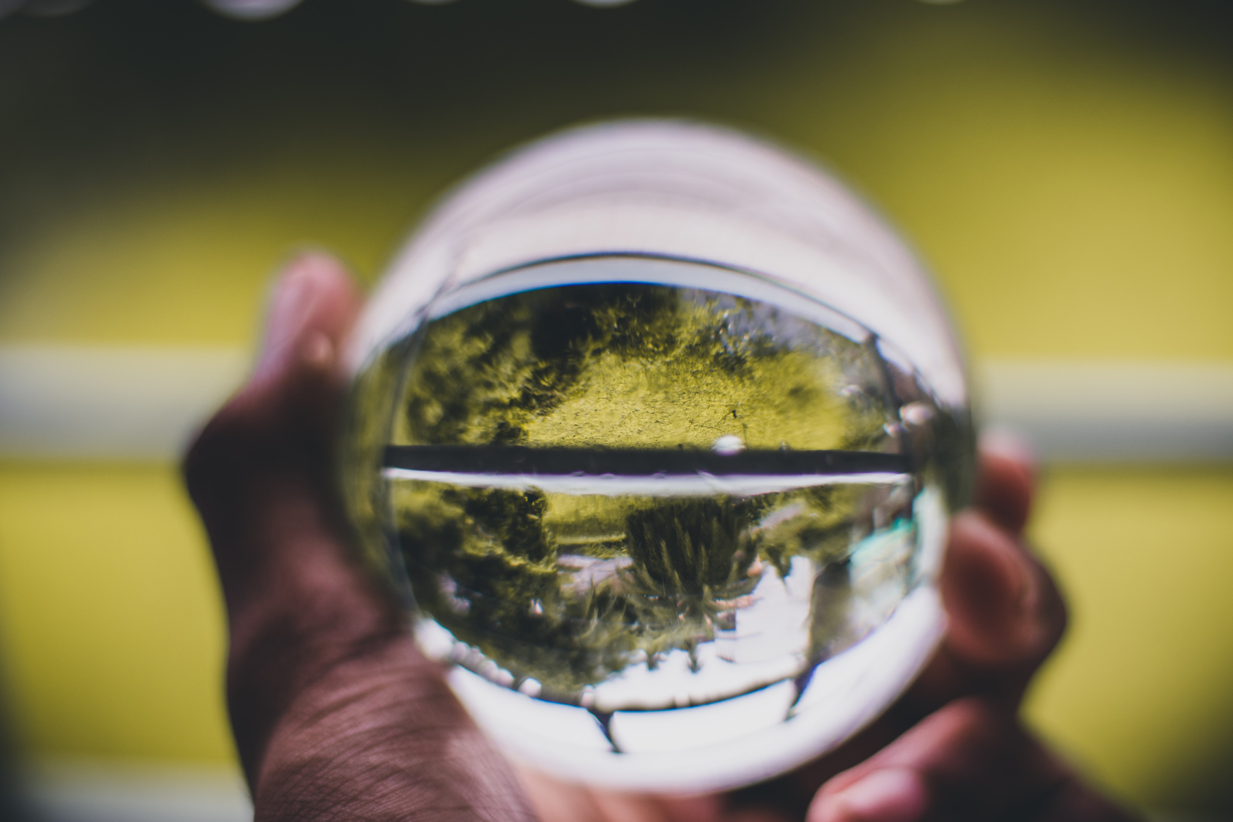 Person Holding Glass Ball